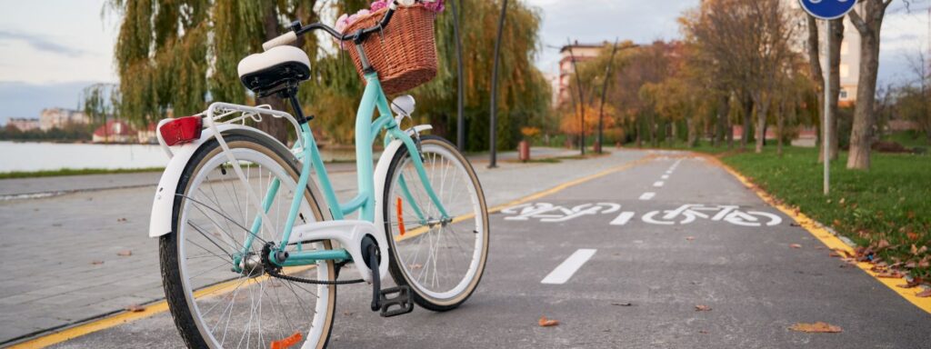 Día Mundial de la Bicicleta